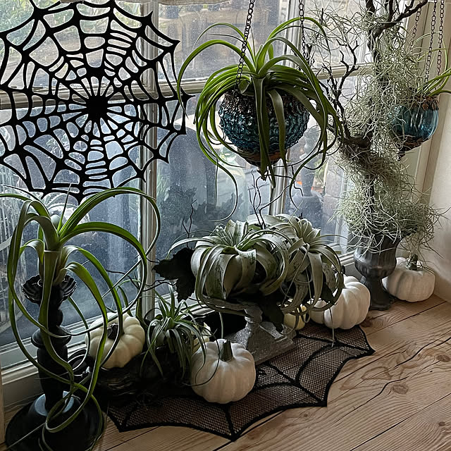 mamisazさんの部屋