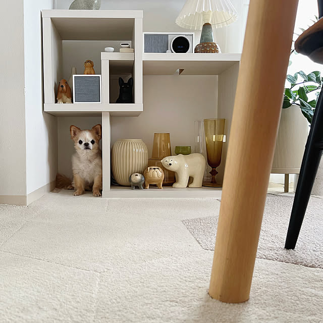 haruhinaさんの実例写真