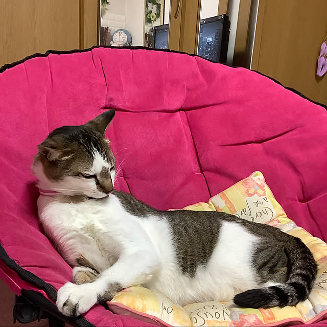 haruminさんの実例写真