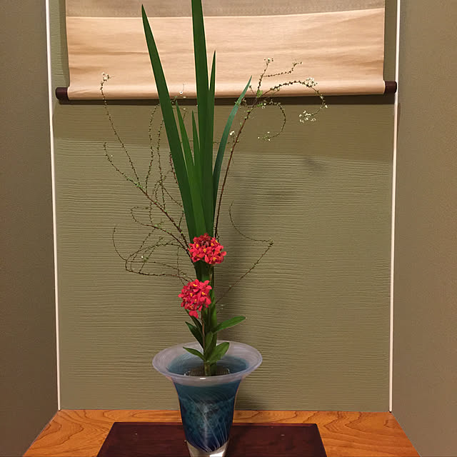 Mayumiさんの実例写真