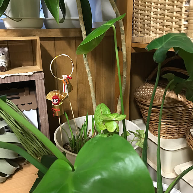 rikomiさんの部屋