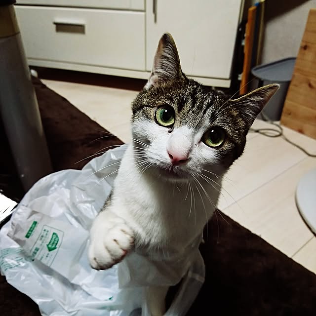 kiraさんの実例写真