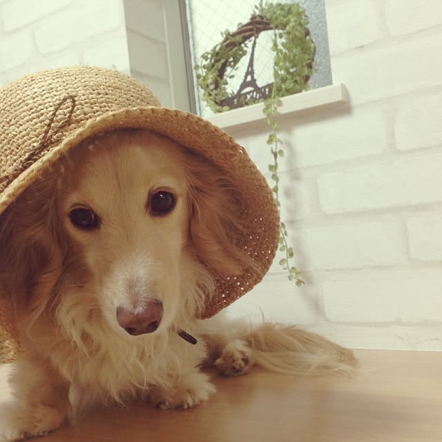 Erinさんの実例写真