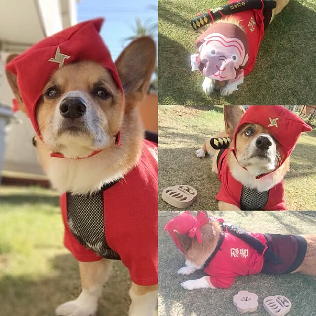 EMIさんの実例写真