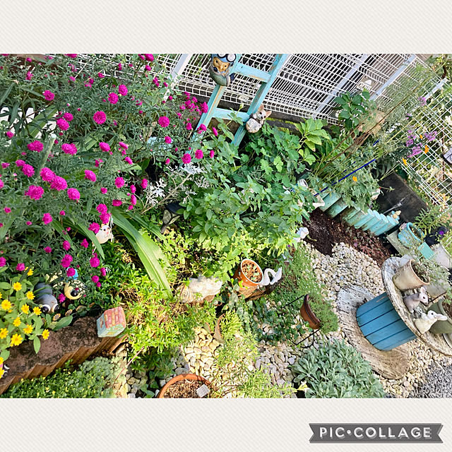 CoCo0617さんの実例写真