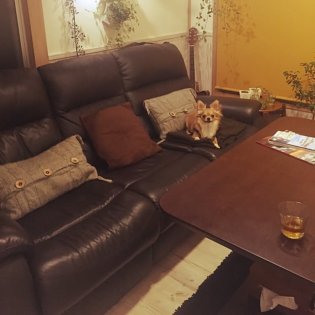 jasmin1223さんの実例写真