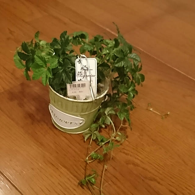yuukyさんの実例写真