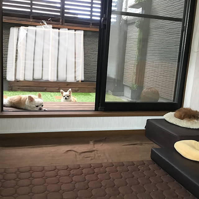 splush1219さんの実例写真