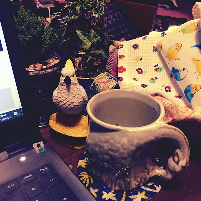 parrotさんの実例写真
