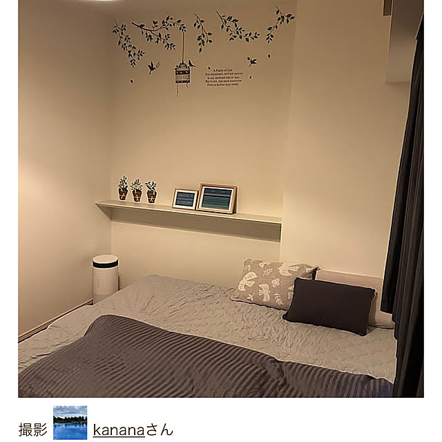 kananaさんの実例写真