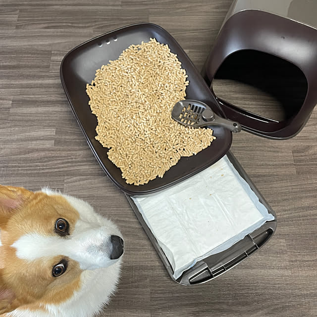 328さんの実例写真