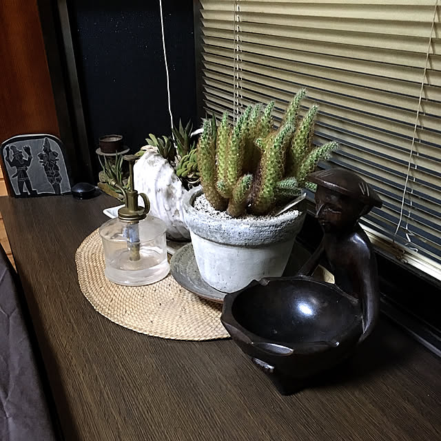 aninさんの実例写真
