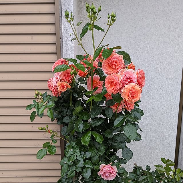 hiroさんの部屋