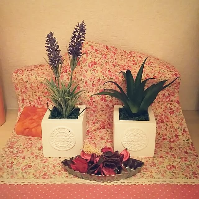 ma-さんの実例写真