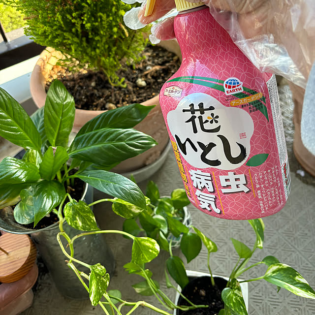 syutmmさんの実例写真