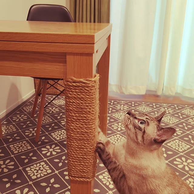 myk93さんの実例写真