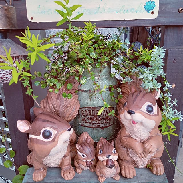 mocomocoさんの部屋