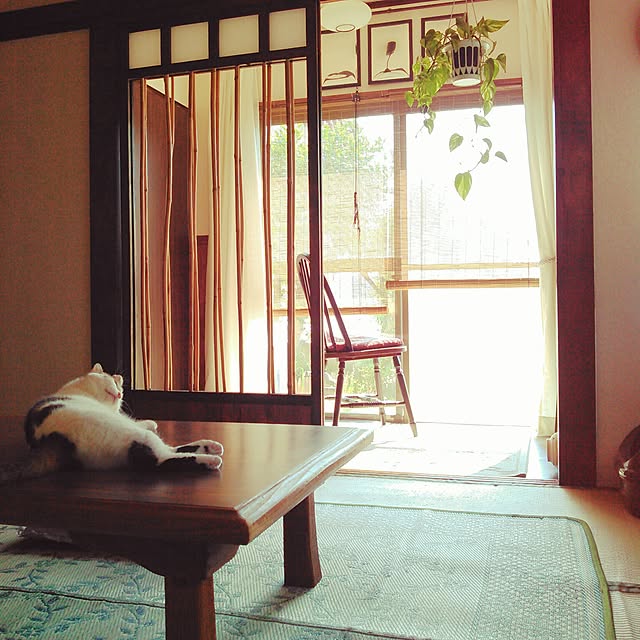 amelliaさんの実例写真