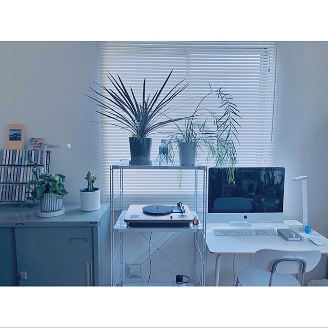 poko_nさんの実例写真