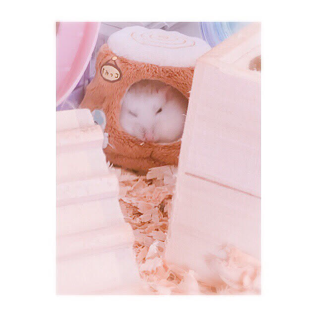 kerochanloveさんの実例写真