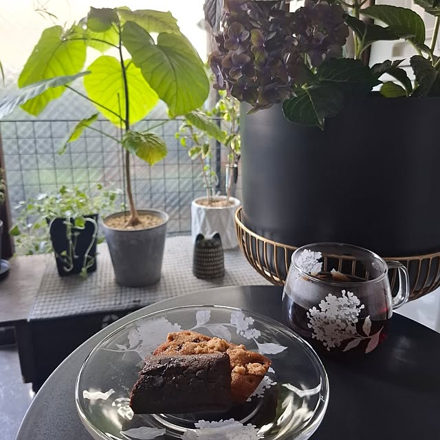noaさんの部屋