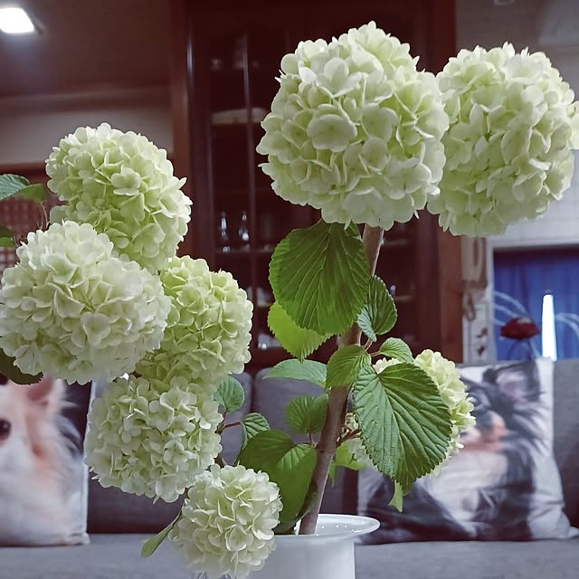 hiro.904さんの部屋