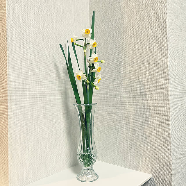 yoyoyoさんの実例写真