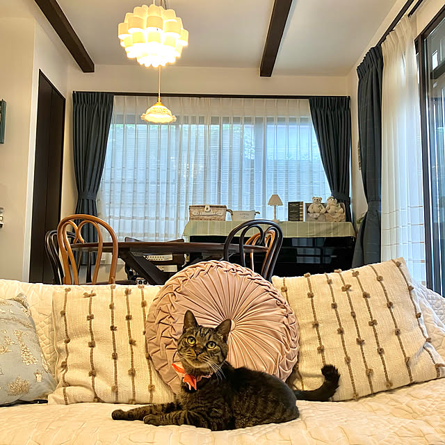 ayataroさんの実例写真