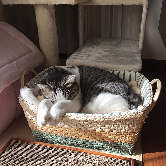 cherryさんの実例写真