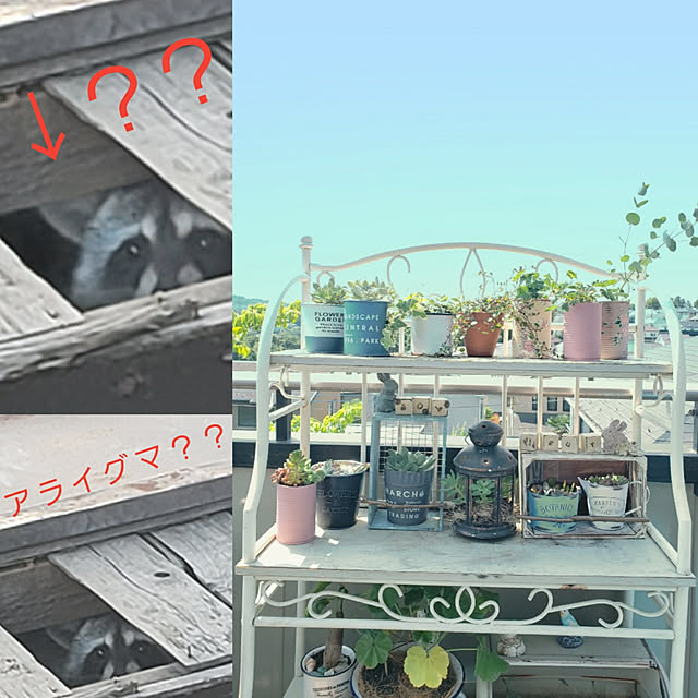 mogu0418さんの実例写真