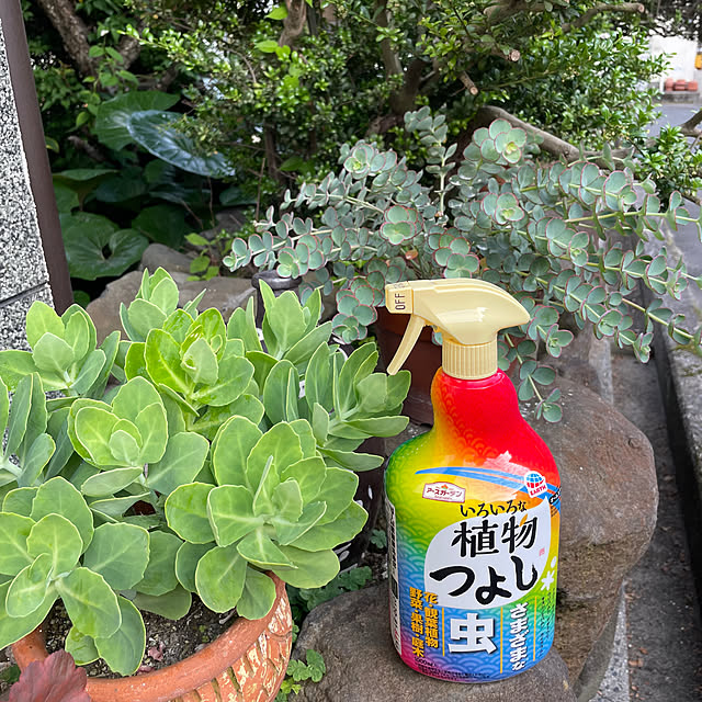 buchiさんの実例写真