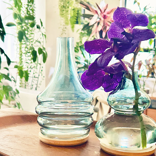 DAYONEさんの実例写真