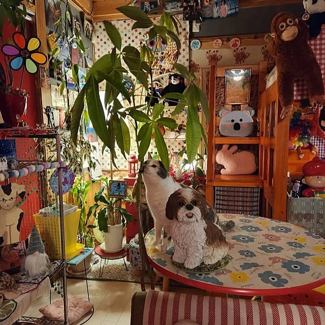 kumutanさんの部屋