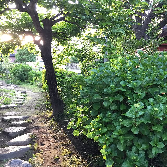 suzyさんの実例写真