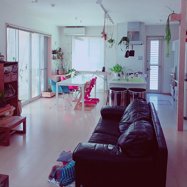 部屋全体/植物/アンティーク/北欧/ACTUS SOFAのインテリア実例 - 2017-04-27 13:40:00
