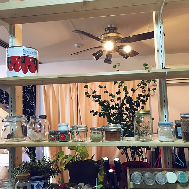 キッチン/DIY/観葉植物のインテリア実例 - 2017-01-13 19:16:18