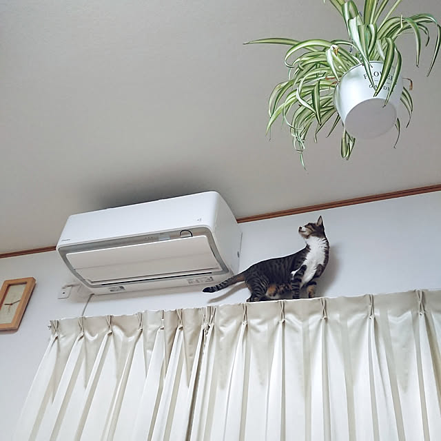 nachiさんの実例写真
