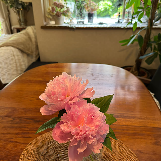 mamizaさんの部屋