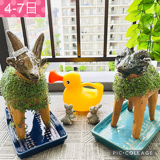 aureaさんの実例写真