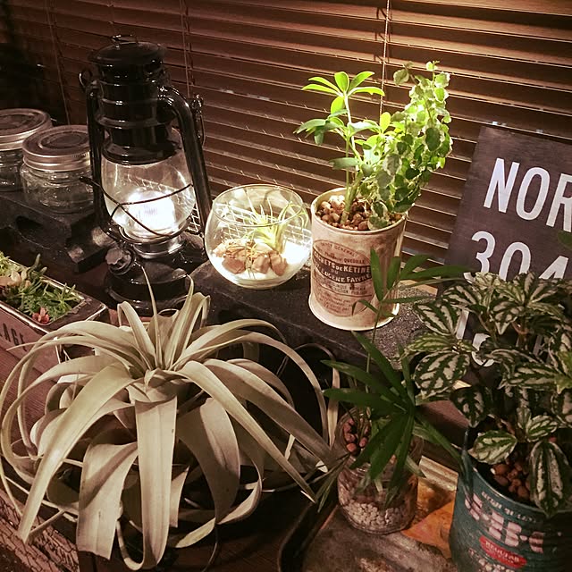 Ichiさんの実例写真