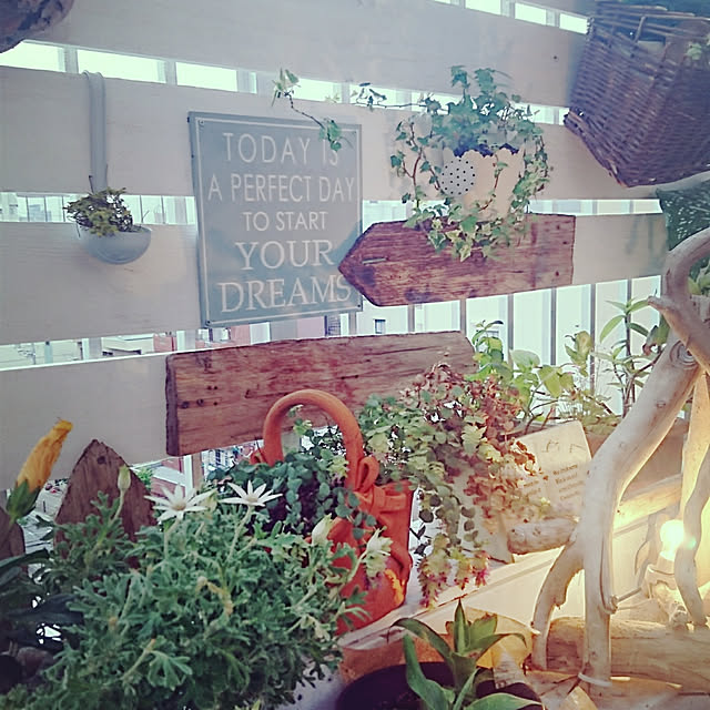 kajyuさんの実例写真