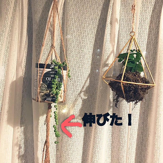eshinobumさんの実例写真