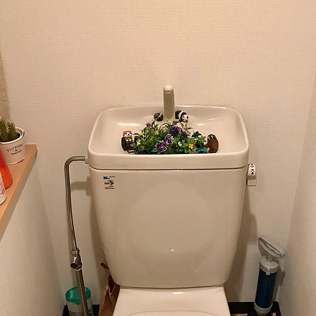 Xinさんの実例写真