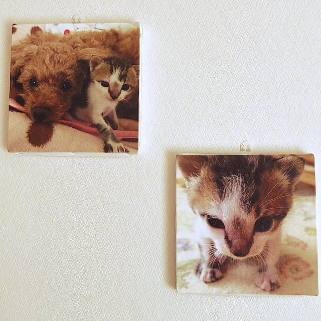 haruminさんの実例写真