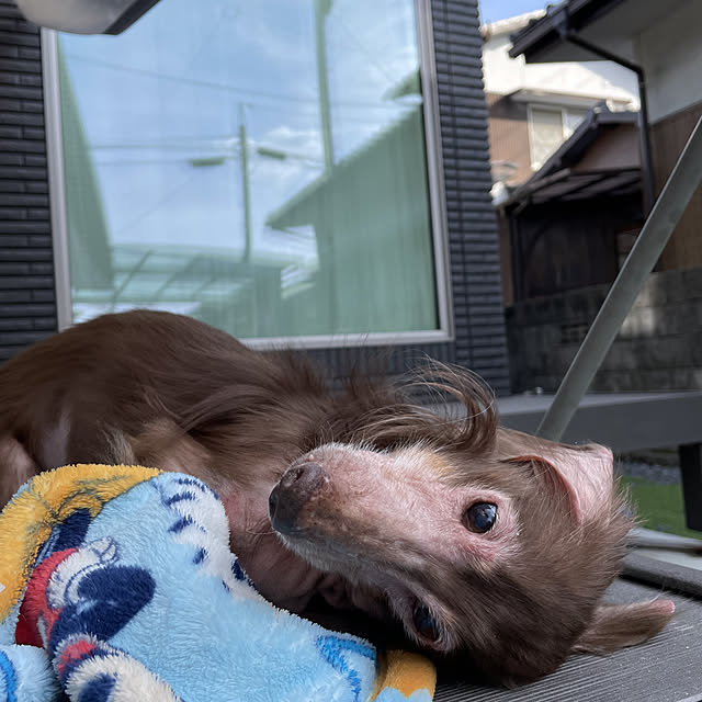 asさんの実例写真