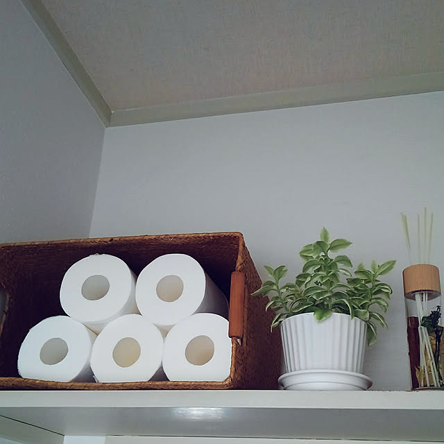 Renさんの実例写真