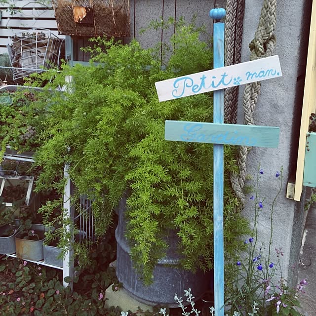Makoさんの実例写真