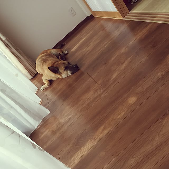 gorori.coさんの実例写真