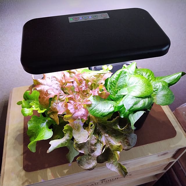 yuuu7712さんの部屋