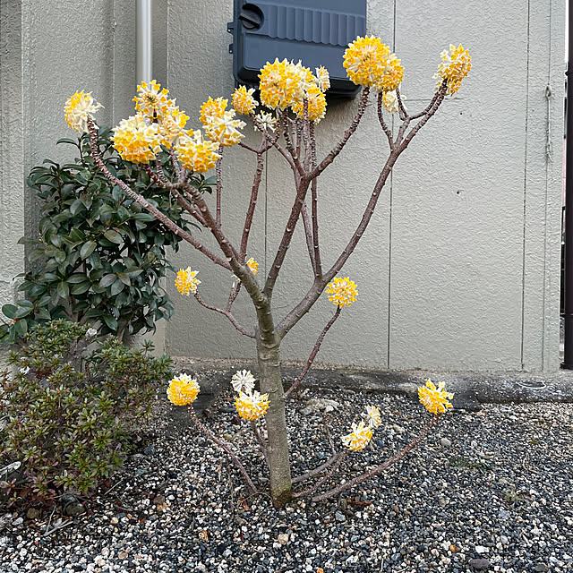 shin0719さんの部屋